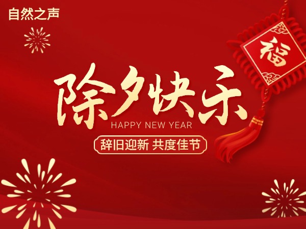 中国传统文化我们的节日·除夕